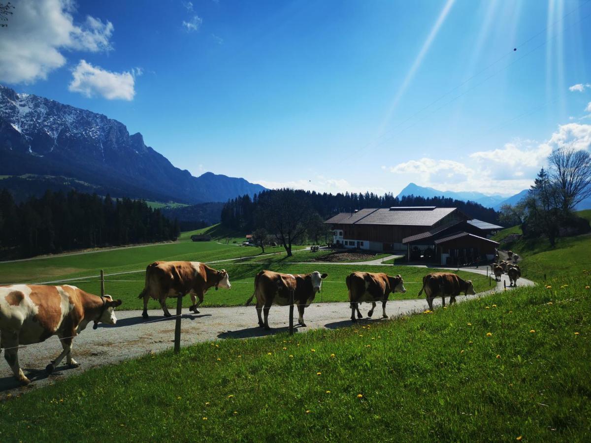 Biobauernhof Und Ferienhaus Riederbauer Rettenschöss Zewnętrze zdjęcie