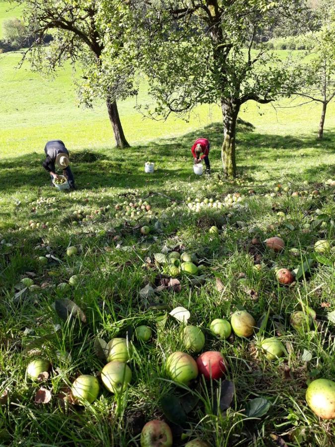Biobauernhof Und Ferienhaus Riederbauer Rettenschöss Zewnętrze zdjęcie